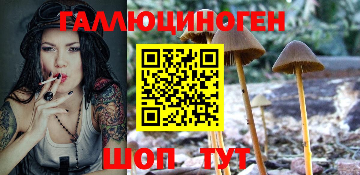 Псилоцибиновые грибы GOLDEN TEACHER  Вход с VPN  Клин 