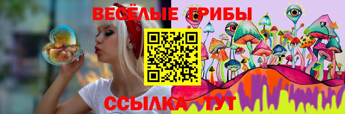 Галлюциногенные грибы Psilocybine cubensis Клин